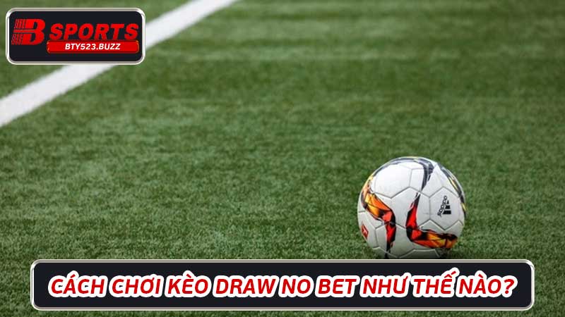 Kèo Draw No Bet Cơ hội kiếm tiền dễ dàng cho người mới