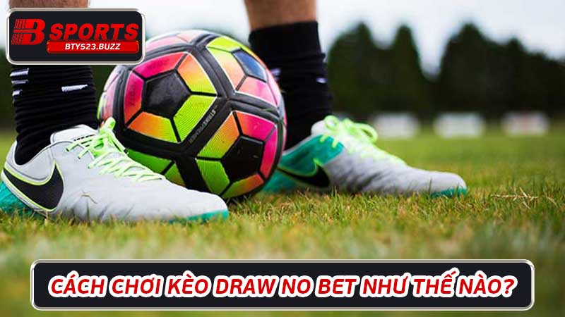 Kèo Draw No Bet Cơ hội kiếm tiền dễ dàng cho người mới