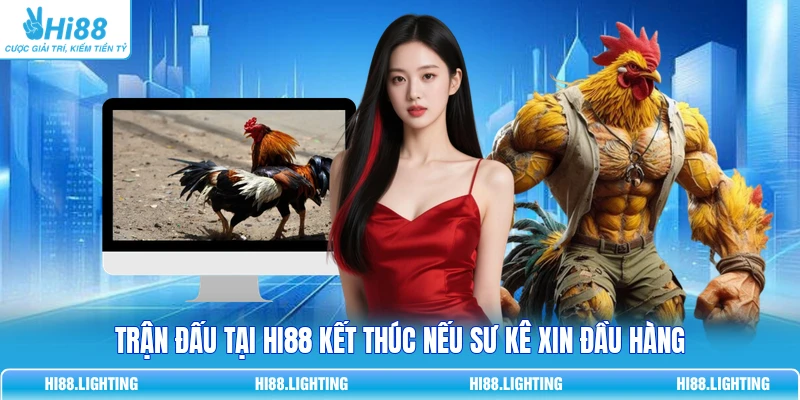 Trận đấu tại Hi88 kết thúc nếu sư kê xin đầu hàng